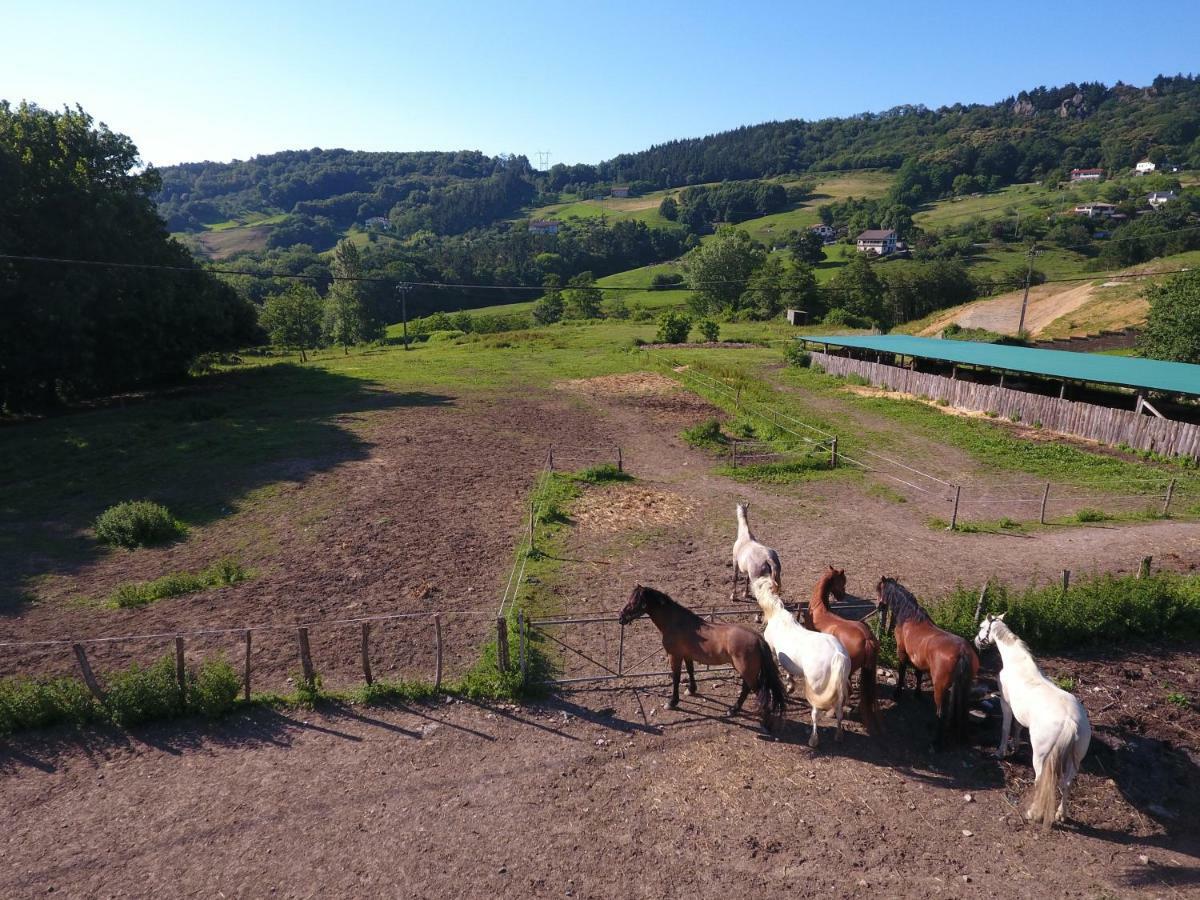 オイアルツン Agroturismo Anziolaヴィラ エクステリア 写真